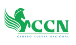 logo ccn