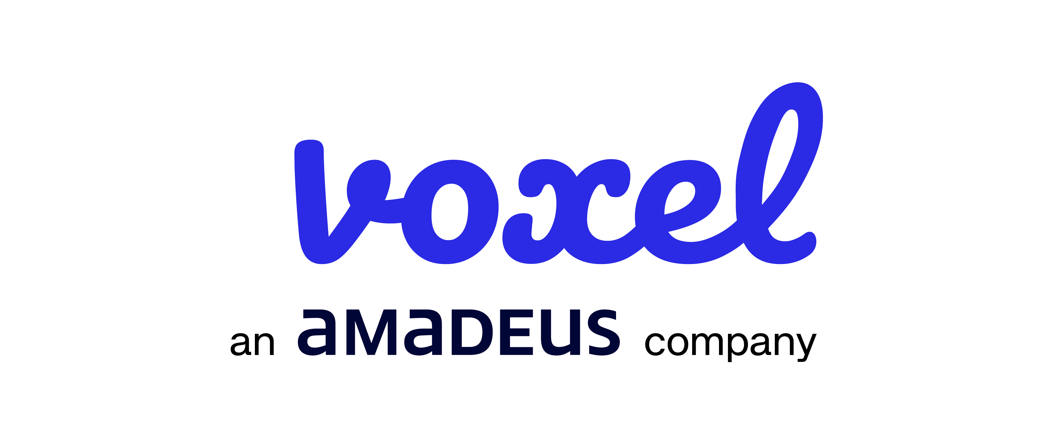 logo Voxel